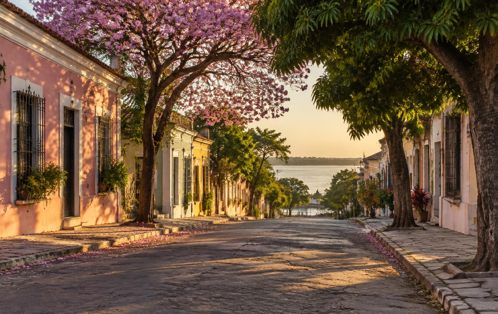 Imagen ilustrativa de una calle tradicional con árboles antiguos cerca del río Paraguay